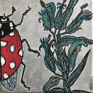 Demoiselle Coccinelle